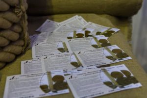 отчет с выставки по деревянному и каркасному домостроению